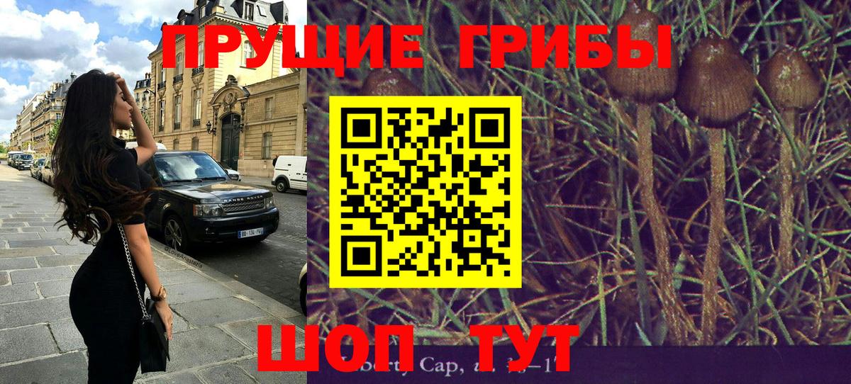 Печора  Псилоцибиновые грибы Psilocybine cubensis  Вход с VPN  Псилоцибиновые грибы Psilocybine cubensis 