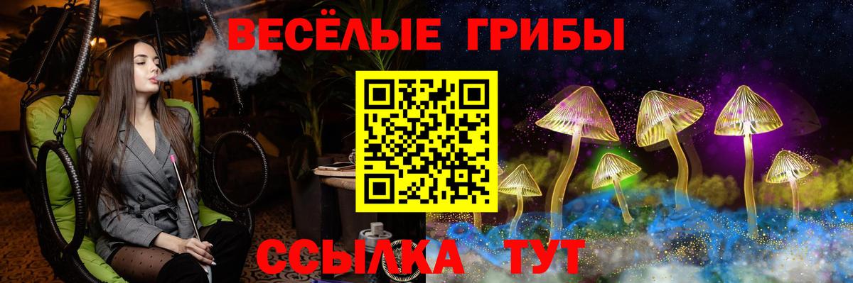 Галлюциногенные грибы ЛСД Печора